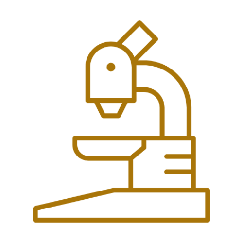 Customized Treatment Plans